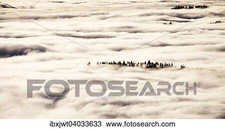 "Forest above the cloud level, view from the Feldberg, inversion, Black Forest, Baden-Wurttemberg, Germany, Europe" View Large Photo Image Stock Image - "Forest above the cloud level, view from the Feldberg, inversion, Black Forest, Baden-Wurttemberg, Germany, Europe". Fotosearch