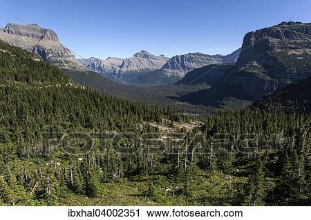 Stock Image - "Forest and mountains in Glacier National Park, Montana, United States, North America". Fotosearch