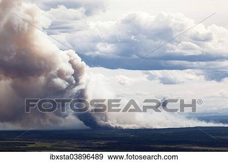 "Forest fire after lightning stroke, south of Fairbanks, Alaska, United States, North America" View Large Photo Image Stock Photo - "Forest fire after lightning stroke, south of Fairbanks, Alaska, United States, North America". Fotosearch