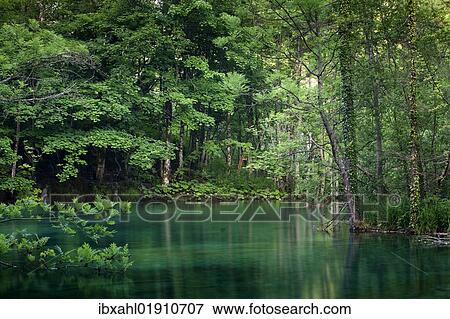 "Forest lake, Plitvice Lakes National Park, UNESCO World Heritage Site, Croatia, Europe" View Large Photo Image Stock Photo - "Forest lake, Plitvice Lakes National Park, UNESCO World Heritage Site, Croatia, Europe". Fotosearch