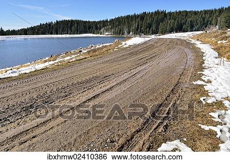 "Forest route, mud road, Old Road Mesa, Grand Mesa National Forest, Colorado, USA" View Large Photo Image Stock Photograph - "Forest route, mud road, Old Road Mesa, Grand Mesa National Forest, Colorado, USA". Fotosearch