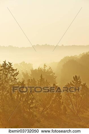 "Forest with late summer early morning fog, Montagnac-la-Crempse, Bergerac, Departement Dordogne, Aquitaine, France, Europe" View Large Photo Image Stock Image - "Forest with late summer early morning fog, Montagnac-la-Crempse, Bergerac, Departement Dordogne, Aquitaine, France, Europe". Fotosearch