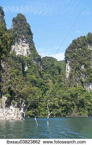 "Forested karst limestone mountains with jungle vegetation rising from the water, Rachabrapha reservoir, Chiao Lan Lake, Khao Sok National Park, Surat Thani Province, Southern Thailand, Thailand, Asia" View Large Photo Image Stock Image - "Forested karst limestone mountains with jungle vegetation rising from the water, Rachabrapha reservoir, Chiao Lan Lake, Khao Sok National Park, Surat Thani Province, Southern Thailand, Thailand, Asia". Fotosearch