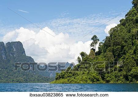 "Forested karst limestone mountains with jungle vegetation rising from the water, Rachabrapha reservoir, Chiao Lan Lake, Khao Sok National Park, Surat Thani Province, Southern Thailand, Thailand, Asia" View Large Photo Image Stock Photography - "Forested karst limestone mountains with jungle vegetation rising from the water, Rachabrapha reservoir, Chiao Lan Lake, Khao Sok National Park, Surat Thani Province, Southern Thailand, Thailand, Asia". Fotosearch