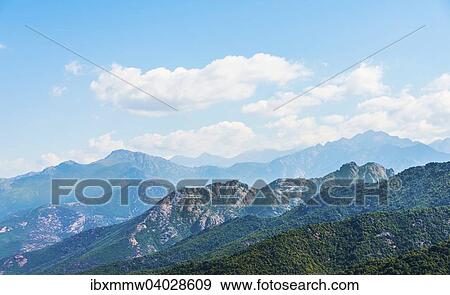 "Forested mountains, Gulf of Porto, Corsica, France, Europe" View Large Photo Image Stock Photo - "Forested mountains, Gulf of Porto, Corsica, France, Europe". Fotosearch