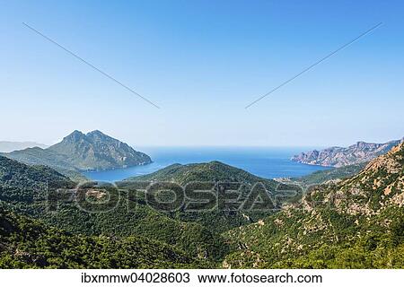 "Forested mountains on the coast, Gulf of Porto, Corsica, France, Europe" View Large Photo Image Stock Image - "Forested mountains on the coast, Gulf of Porto, Corsica, France, Europe". Fotosearch