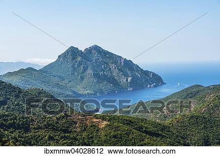 "Forested mountains on the coast, Gulf of Porto, Corsica, France, Europe" View Large Photo Image Stock Image - "Forested mountains on the coast, Gulf of Porto, Corsica, France, Europe". Fotosearch