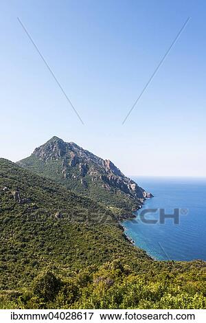 "Forested mountains on the coast, Gulf of Porto, Corsica, France, Europe" View Large Photo Image Stock Photo - "Forested mountains on the coast, Gulf of Porto, Corsica, France, Europe". Fotosearch