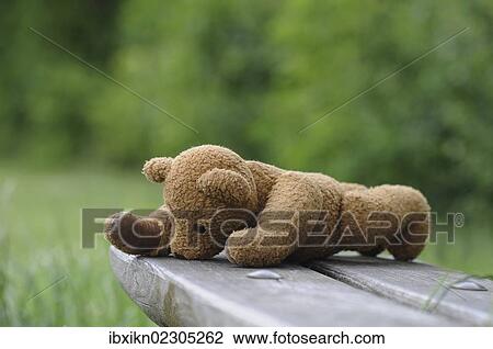 Forgotten teddy bear on a wooden bench View Large Photo Image Stock Image - Forgotten teddy bear on a wooden bench. Fotosearch