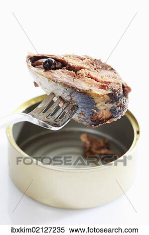 Fork with a piece of sardine from the tin View Large Photo Image Stock Photography - Fork with a piece of sardine from the tin. Fotosearch