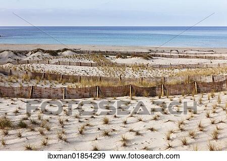 "Fortified dunes, Cala Mesquida in Capdepera, Majorca, Balearic Islands, Spain, Europe" View Large Photo Image Stock Photo - "Fortified dunes, Cala Mesquida in Capdepera, Majorca, Balearic Islands, Spain, Europe". Fotosearch
