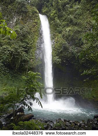 "Fortuna Waterfall, La Catarata de la Fortuna, La Fortuna, Costa Rica, Central America, North America" View Large Photo Image Stock Photograph - "Fortuna Waterfall, La Catarata de la Fortuna, La Fortuna, Costa Rica, Central America, North America". Fotosearch