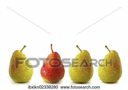 "Four pears, three green, one red" View Large Photo Image Stock Image - "Four pears, three green, one red". Fotosearch