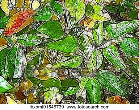 "Fractal graphics, abstract" View Large Photo Image Stock Photo - "Fractal graphics, abstract". Fotosearch