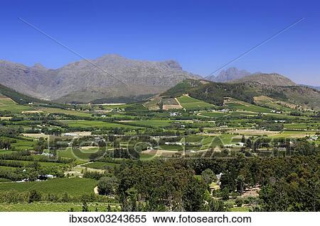 "Franschhoek wine region, Franschhoek, Kapregion, Western Cape, South Africa, Africa" View Large Photo Image Stock Photography - "Franschhoek wine region, Franschhoek, Kapregion, Western Cape, South Africa, Africa". Fotosearch