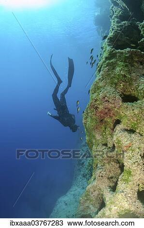 "Freediver, Aegean Sea, Greece, Europe" View Large Photo Image Stock Image - "Freediver, Aegean Sea, Greece, Europe". Fotosearch