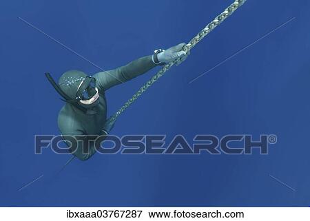 "Freediver, Aegean Sea, Greece, Europe" View Large Photo Image Stock Photo - "Freediver, Aegean Sea, Greece, Europe". Fotosearch
