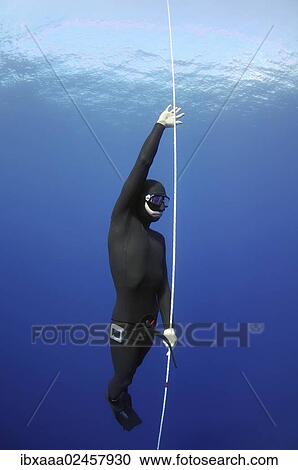 "Freediver, Mediterranean Sea, Kas, Kas, Turkey, Asia" View Large Photo Image Stock Image - "Freediver, Mediterranean Sea, Kas, Kas, Turkey, Asia". Fotosearch