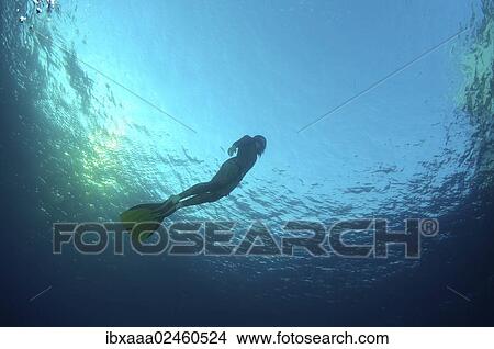 "Freediver, Mediterranean Sea, Kash, Turkey, Asia" View Large Photo Image Picture - "Freediver, Mediterranean Sea, Kash, Turkey, Asia". Fotosearch