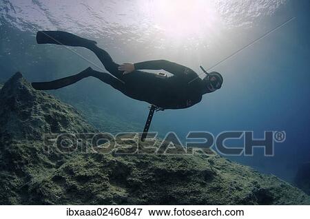"Freediver, Mediterranean Sea, Kash, Turkey, Asia" View Large Photo Image Stock Photo - "Freediver, Mediterranean Sea, Kash, Turkey, Asia". Fotosearch