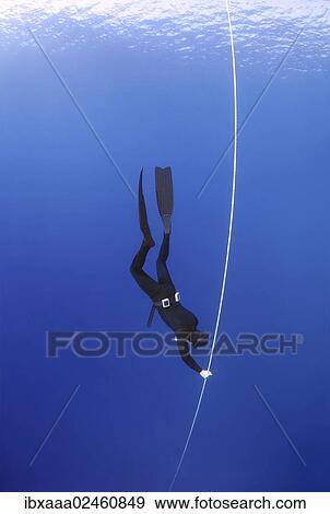 "Freediver, Mediterranean Sea, Kash, Turkey, Asia" View Large Photo Image Stock Photo - "Freediver, Mediterranean Sea, Kash, Turkey, Asia". Fotosearch