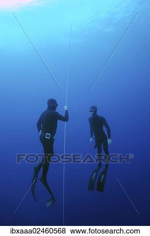 "Freedivers, Mediterranean Sea, Kash, Turkey, Asia" View Large Photo Image Stock Photo - "Freedivers, Mediterranean Sea, Kash, Turkey, Asia". Fotosearch