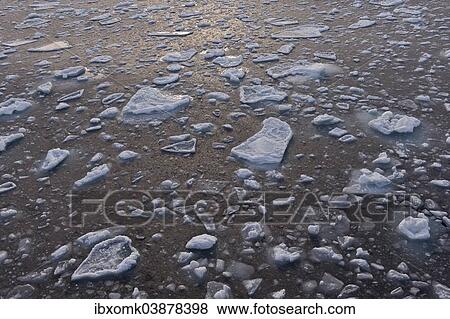 "Freezing sea, ice floes, edge of the pack ice, Arctic Ocean, Spitsbergen, Svalbard Islands, Svalbard and Jan Mayen, Norway, Europe" View Large Photo Image Stock Photo - "Freezing sea, ice floes, edge of the pack ice, Arctic Ocean, Spitsbergen, Svalbard Islands, Svalbard and Jan Mayen, Norway, Europe". Fotosearch