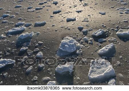 "Freezing sea, ice floes, edge of the pack ice, Arctic Ocean, Spitsbergen, Svalbard Islands, Svalbard and Jan Mayen, Norway, Europe" View Large Photo Image Stock Photography - "Freezing sea, ice floes, edge of the pack ice, Arctic Ocean, Spitsbergen, Svalbard Islands, Svalbard and Jan Mayen, Norway, Europe". Fotosearch