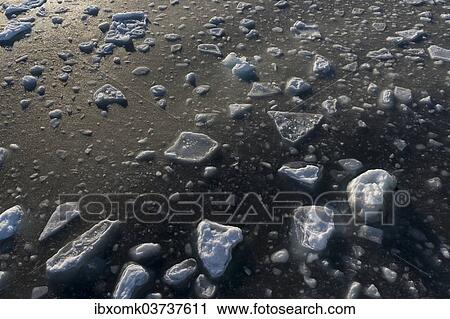 "Freezing sea water, ice floes, pack ice, Arctic Ocean, Spitsbergen Island, Svalbard Archipelago, Svalbard and Jan Mayen, Norway, Europe" View Large Photo Image Stock Image - "Freezing sea water, ice floes, pack ice, Arctic Ocean, Spitsbergen Island, Svalbard Archipelago, Svalbard and Jan Mayen, Norway, Europe". Fotosearch