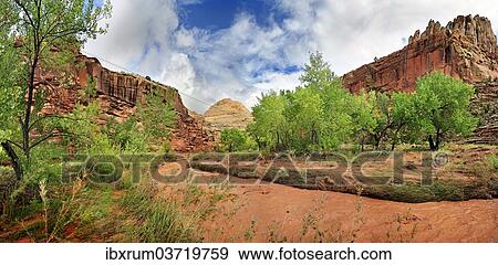 "Fremont River coloured red from mud with green leafy trees after a storm, Capitol Reef National Park, Fruita, Utah, United States, North America" View Large Photo Image Stock Photo - "Fremont River coloured red from mud with green leafy trees after a storm, Capitol Reef National Park, Fruita, Utah, United States, North America". Fotosearch