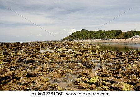 Stock Image - "French Atlantic Coast at low tide, near Saint-Jean-de-Luz, Aquitaine, Departement Pyrenees-Atlantiques, France, Europe". Fotosearch