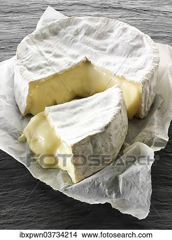 "French Camembert, cheese" View Large Photo Image Picture - "French Camembert, cheese". Fotosearch
