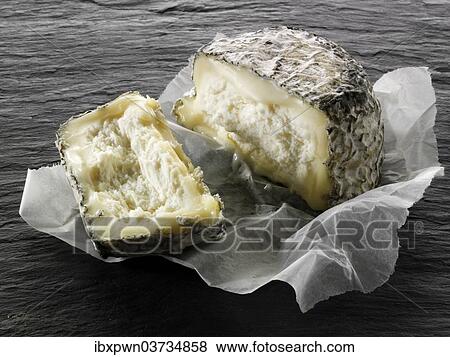 French goat cheese from Normandy View Large Photo Image Stock Photo - French goat cheese from Normandy. Fotosearch