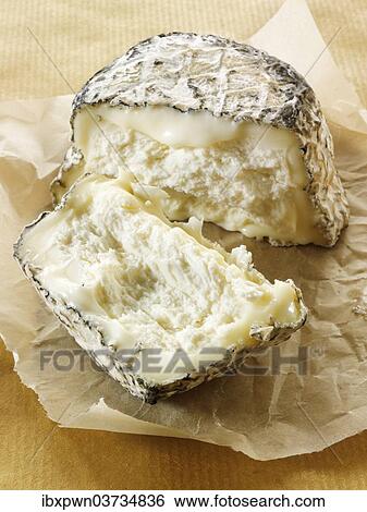 French goat cheese from Normandy View Large Photo Image Stock Photograph - French goat cheese from Normandy. Fotosearch