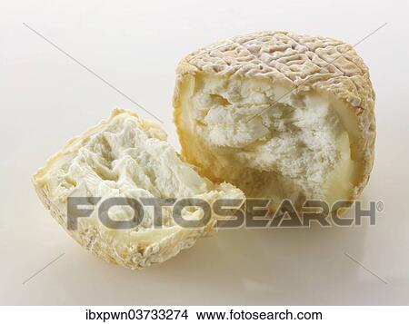 French goat cheese or chevre View Large Photo Image Picture - French goat cheese or chevre. Fotosearch
