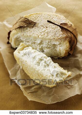 French goat cheese or chevre View Large Photo Image Stock Photography - French goat cheese or chevre. Fotosearch