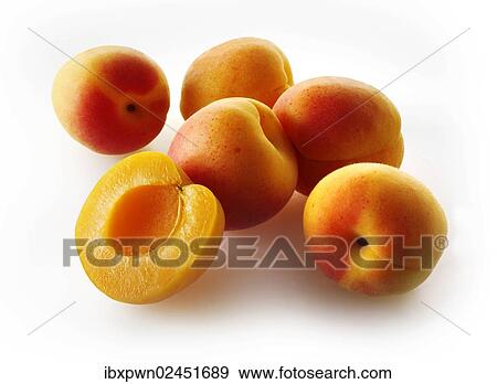 Fresh Apricots View Large Photo Image Stock Photo - Fresh Apricots. Fotosearch