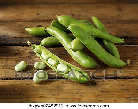 Stock Image - Fresh Broad beans in their pods. Fotosearch