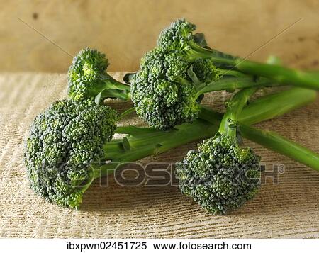 Stock Photography - Fresh broccoli heads. Fotosearch