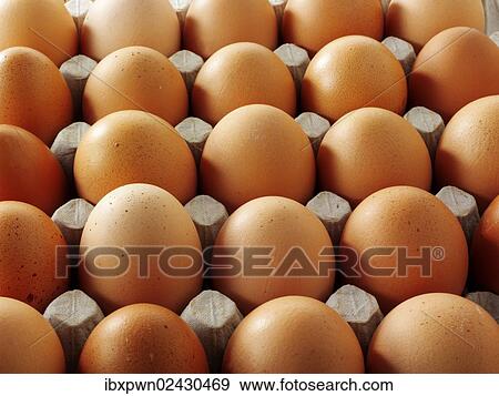 Fresh brown eggs from free-range View Large Photo Image Stock Photo - Fresh brown eggs from free-range. Fotosearch