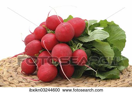 "Fresh bunch of radishes, Germany, Europe" View Large Photo Image Stock Image - "Fresh bunch of radishes, Germany, Europe". Fotosearch