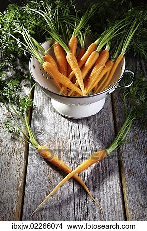 "Fresh carrots, carrots in a colander on rustic wood" View Large Photo Image Picture - "Fresh carrots, carrots in a colander on rustic wood". Fotosearch