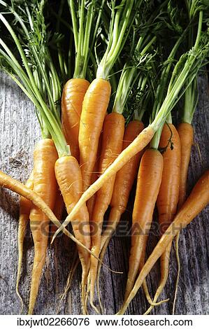 Stock Photograph - "Fresh carrots, carrots in a colander on rustic wood". Fotosearch