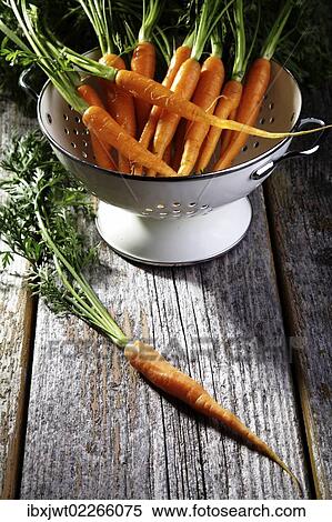 "Fresh carrots, carrots in a colander on rustic wood" View Large Photo Image Stock Photography - "Fresh carrots, carrots in a colander on rustic wood". Fotosearch
