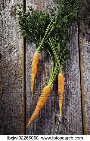 Fresh carrots on rustic wood View Large Photo Image Stock Photo - Fresh carrots on rustic wood. Fotosearch
