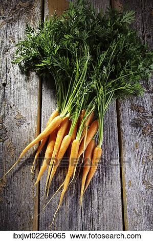 Fresh carrots on rustic wood View Large Photo Image Stock Photography - Fresh carrots on rustic wood. Fotosearch