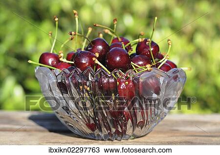 Fresh cherries in a glass bowl View Large Photo Image Stock Image - Fresh cherries in a glass bowl. Fotosearch