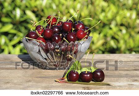 Fresh cherries in a glass bowl View Large Photo Image Stock Photograph - Fresh cherries in a glass bowl. Fotosearch