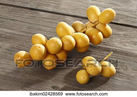 Fresh dates View Large Photo Image Stock Photo - Fresh dates. Fotosearch