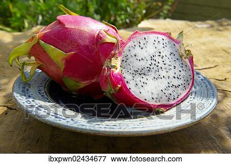 Fresh Dragon fruit (Hylocereus undatus) View Large Photo Image Stock Photo - Fresh Dragon fruit (Hylocereus undatus). Fotosearch